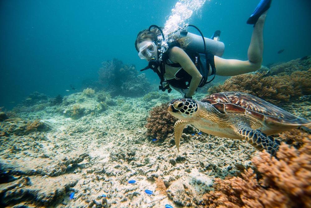 Cape Rose2 Hotel Quần đảo Gili Ngoại thất bức ảnh
